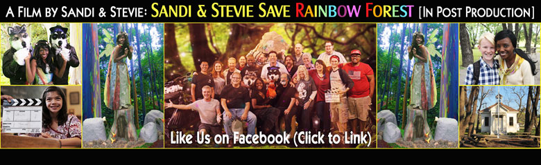 Sandi & Stevie Save Rainbow Forest